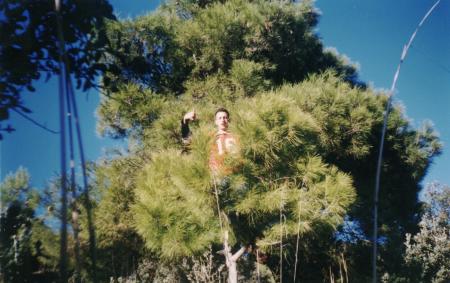 alagazar